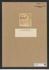 Hemiaulus mucronatus Grev. (de-Toni-Nr.: Genus 117, Species 3341) Zeichnungen Sammlung Grunow Nr. 6748 (NHMW-BOT-W0375570)